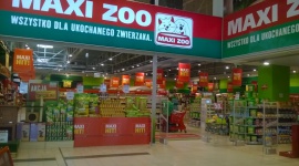 Maxi Zoo i 4FRAME – razem z miłość do zwierząt BIZNES, Firma - Wielkie zmiany w Maxi Zoo Polska – nowy dyrektor ds. sprzedaży i marketingu, nowa agencja obsługującą kompleksowo markę i nowa kampania wspierająca sieci sklepów zoologicznych.