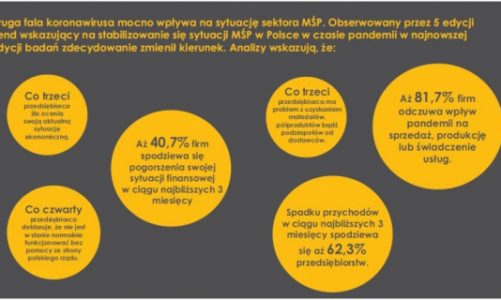 KoronaBilans MŚP – kosztowne skutki pandemii